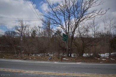 Prime commercial real estate alert! This Hi-Traffic lot in - photo 11