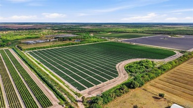 Exceptional opportunity to acquire a fully operational, turnkey - photo 14