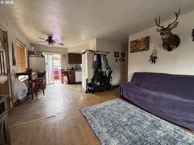 Rare Brookings Investment Opportunity! Two detached homes on one - photo 19