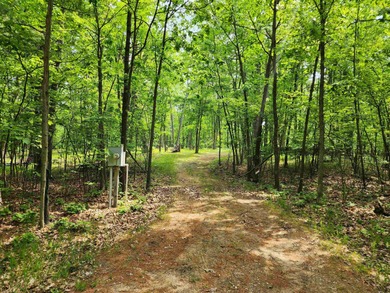 (private lake, pond, creek) Lot Active Under Contract in Farwell Michigan