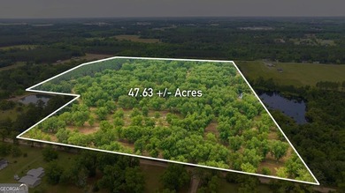(private lake, pond, coastal) Acreage Sale Pending in Fitzgerald Georgia