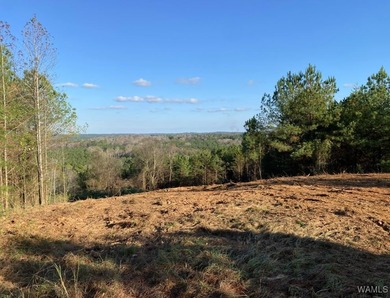 Lake Tuscaloosa Acreage For Sale in Northport Alabama