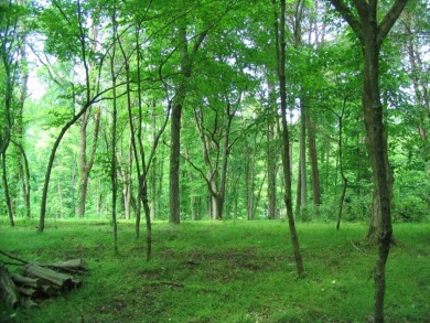 Gorgeous Views Of Cherokee Lake - photo 19