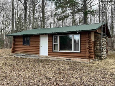 Lake Home For Sale in Alger, Michigan