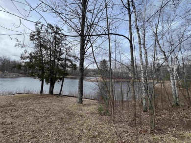Lake Lot For Sale in Alger, Michigan