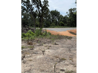 Prime building lot with beautiful mountain and Norfork river - photo 12