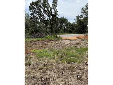 Prime building lot with beautiful mountain and Norfork river - photo 13