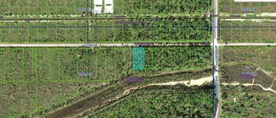 This 0.51-acre vacant lot on Althea Drive , Florida, offers the - photo 3