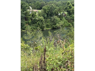 Prime building lot with beautiful mountain and Norfork river - photo 15