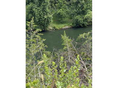 Prime building lot with beautiful mountain and Norfork river - photo 16
