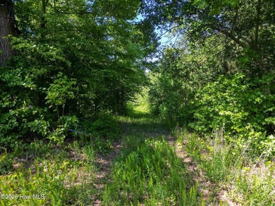 Beautiful lot peaceful and private 211 plus acre lot with over - photo 2