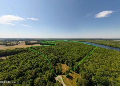 Beautiful lot peaceful and private 211 plus acre lot with over - photo 4