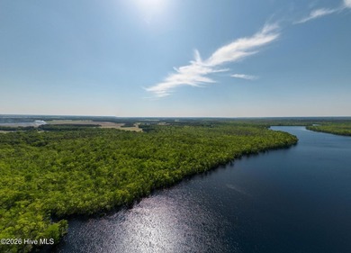 Beautiful lot peaceful and private 211 plus acre lot with over - photo 7