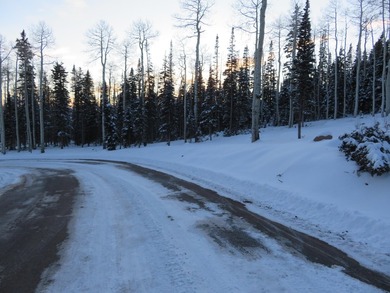 Tushar Mountain Estates, a limited reserve of just 12 custom - photo 7