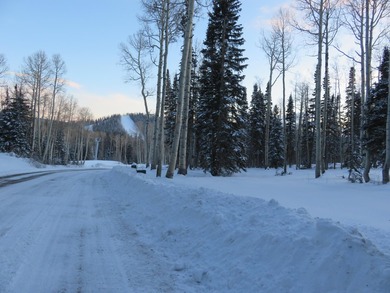 Tushar Mountain Estates, a limited reserve of just 12 custom - photo 10