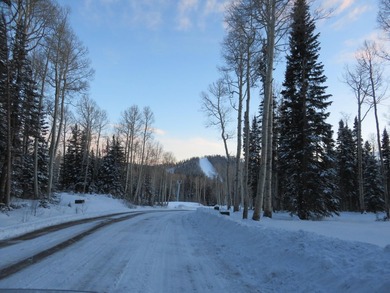 Tushar Mountain Estates, a limited reserve of just 12 custom - photo 8