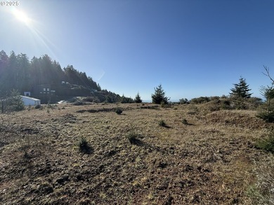 Don't miss this opportunjity. Vacant Lot with Spectacular Ocean - photo 11
