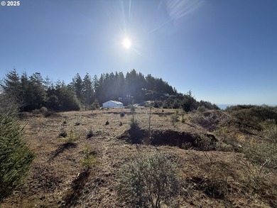 Don't miss this opportunjity. Vacant Lot with Spectacular Ocean - photo 12