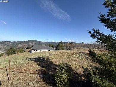Don't miss this opportunjity. Vacant Lot with Spectacular Ocean - photo 13