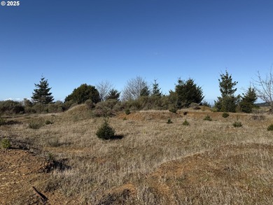 Don't miss this opportunjity. Vacant Lot with Spectacular Ocean - photo 14