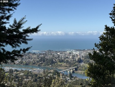 Don't miss this opportunjity. Vacant Lot with Spectacular Ocean - photo 16