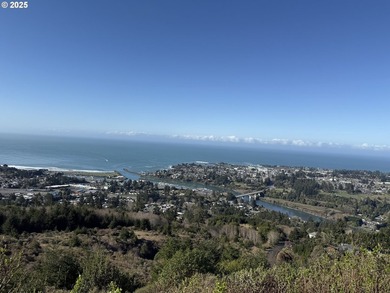 Don't miss this opportunjity. Vacant Lot with Spectacular Ocean - photo 18