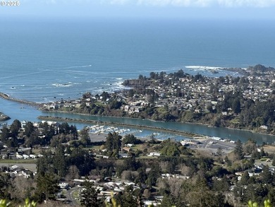 Don't miss this opportunjity. Vacant Lot with Spectacular Ocean - photo 20