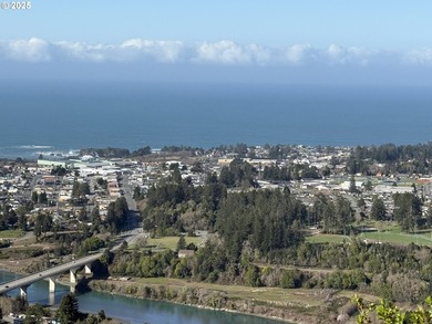 Don't miss this opportunjity. Vacant Lot with Spectacular Ocean - photo 21