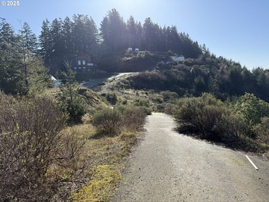 Don't miss this opportunjity. Vacant Lot with Spectacular Ocean - photo 22