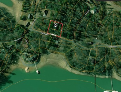 Gorgeous Views Of Cherokee Lake - photo 21