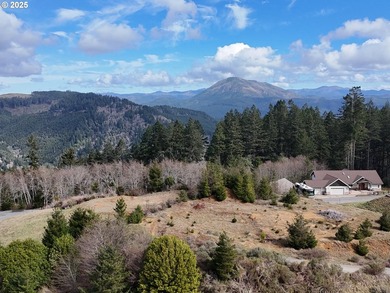 Don't miss this opportunjity. Vacant Lot with Spectacular Ocean - photo 24