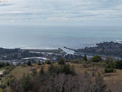 Don't miss this opportunjity. Vacant Lot with Spectacular Ocean - photo 25