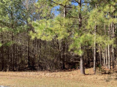 (private lake, pond, coastal) Acreage For Sale in Cross Hill South Carolina