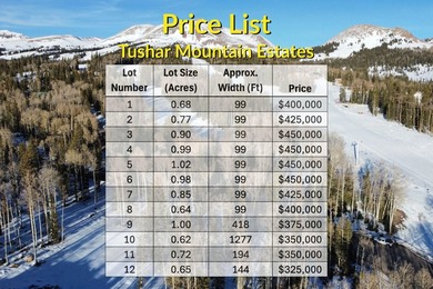 Tushar Mountain Estates, a limited reserve of just 12 custom - photo 4
