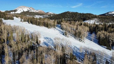 Tushar Mountain Estates, a limited reserve of just 12 custom - photo 5