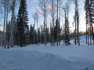 Tushar Mountain Estates, a limited reserve of just 12 custom - photo 9