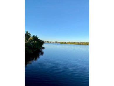 STOP in and discover all this beautifully updated Port Charlotte - photo 41