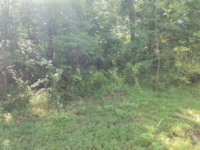 Gorgeous Views Of Cherokee Lake - photo 14