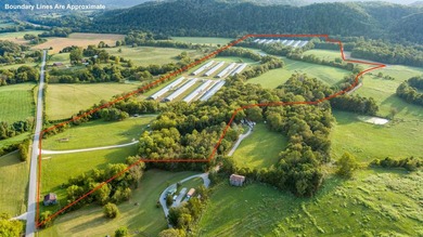 Kentucky Poultry farm with Tyson Contract (currently on Pay - photo 3