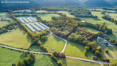 Kentucky Poultry farm with Tyson Contract (currently on Pay - photo 4