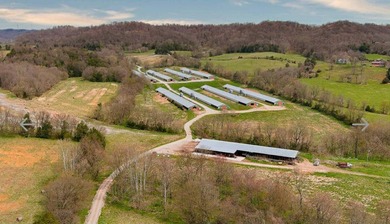 Kentucky Poultry farm with Tyson Contract (currently on Pay - photo 6