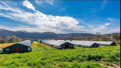 Kentucky Poultry farm with Tyson Contract (currently on Pay - photo 8