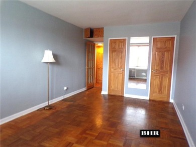 MARINE PARK/SHEEPSHEAD BAY. Spacious jr 4, 2-bedroom 1 bath - photo 12