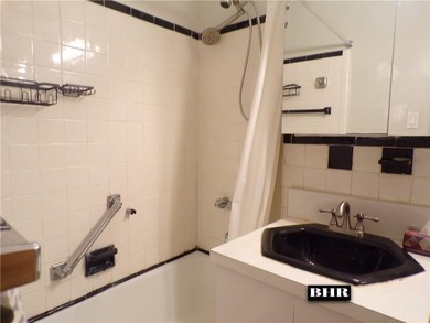 MARINE PARK/SHEEPSHEAD BAY. Spacious jr 4, 2-bedroom 1 bath - photo 14