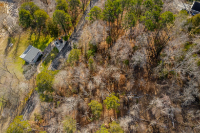 Gorgeous Views Of Cherokee Lake - photo 6