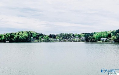 A true get-a-away on Weiss Lake with no maintenance, just pure - photo 43