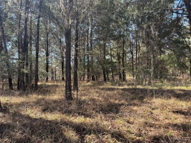 Lake Lot For Sale in Catherine, Alabama