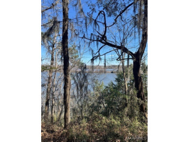 Lake Lot For Sale in Catherine, Alabama