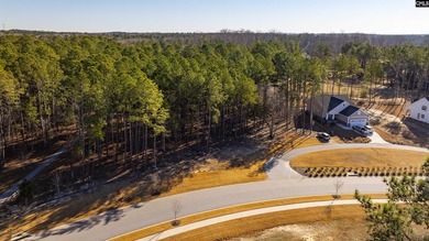 PLEASE VIEW THE VIRTUAL TOUR LINK. Lot 119 Stewart Landing Drive - photo 13