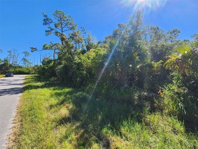 Build your Florida dream on this OVERSIZED CORNER lot located in - photo 3